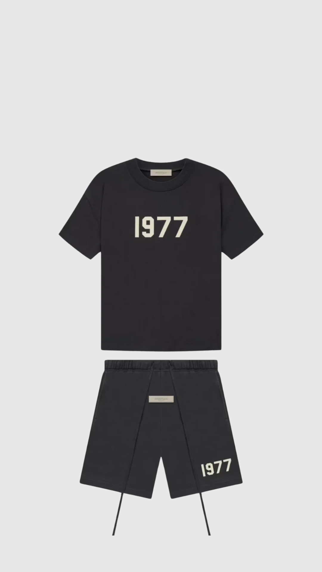 Ensemble FitsnDrip 1977