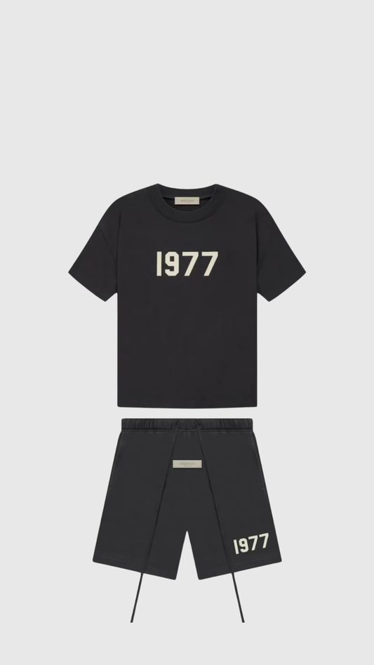 Ensemble FitsnDrip 1977