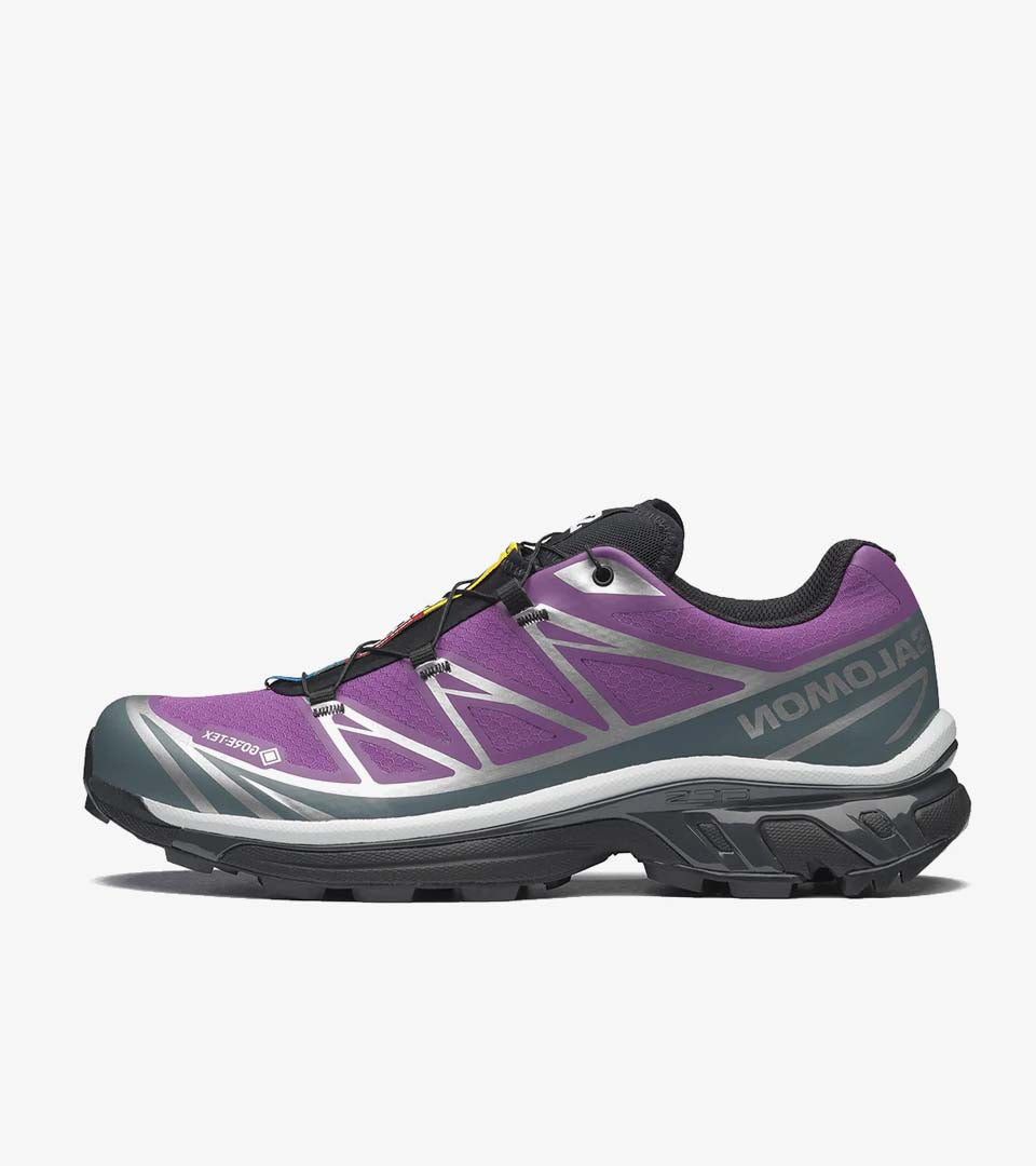 XT-6 Gore-Tex Concord Grape Stormy Weather