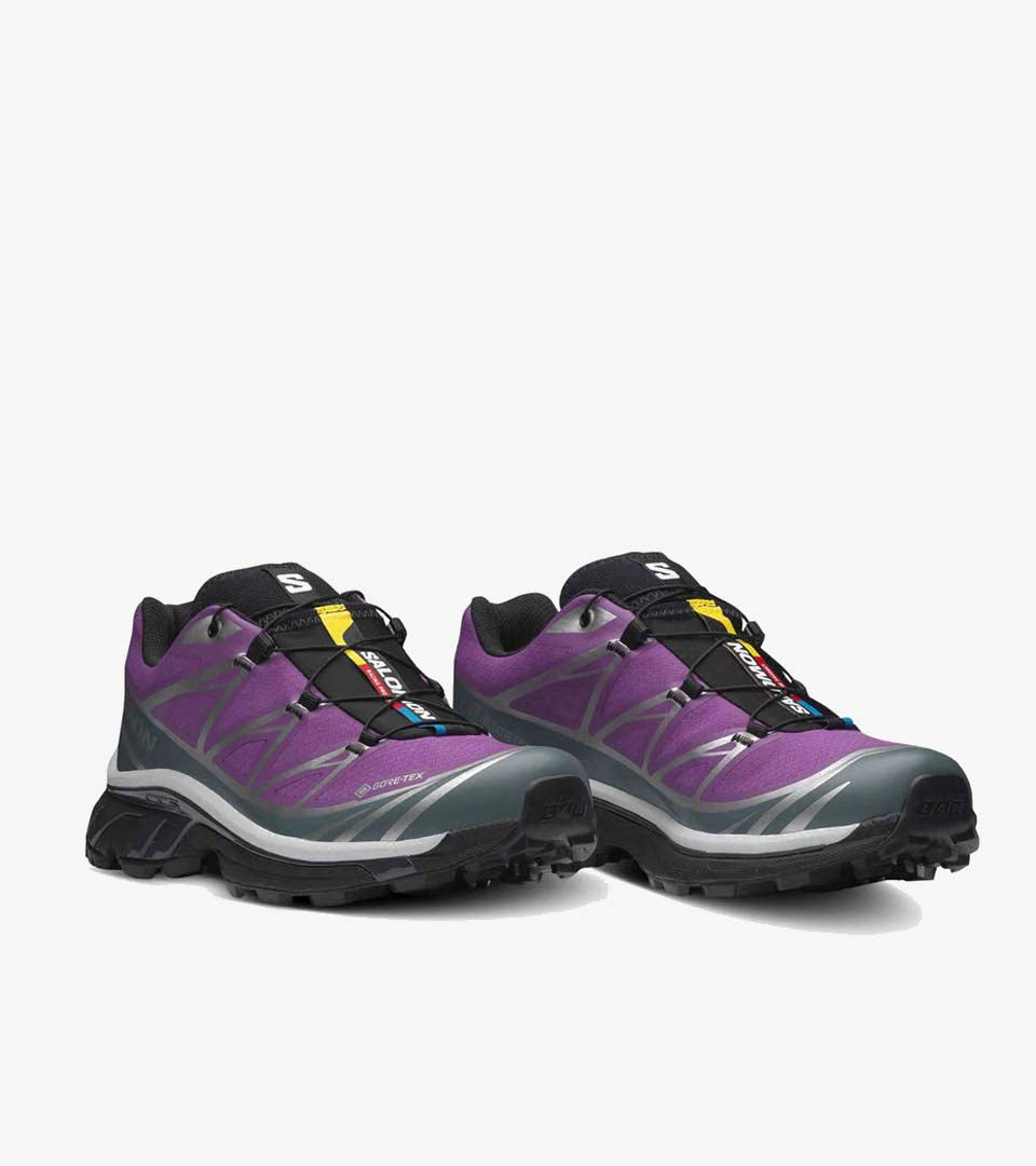XT-6 Gore-Tex Concord Grape Stormy Weather